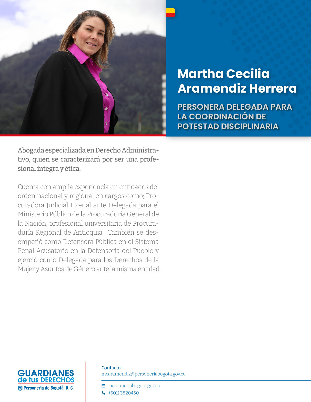 Perfiles directivos Martha Aramendiz 17
